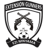 Team logo